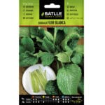 BORRAJA FLOR BLANCA MOVERA