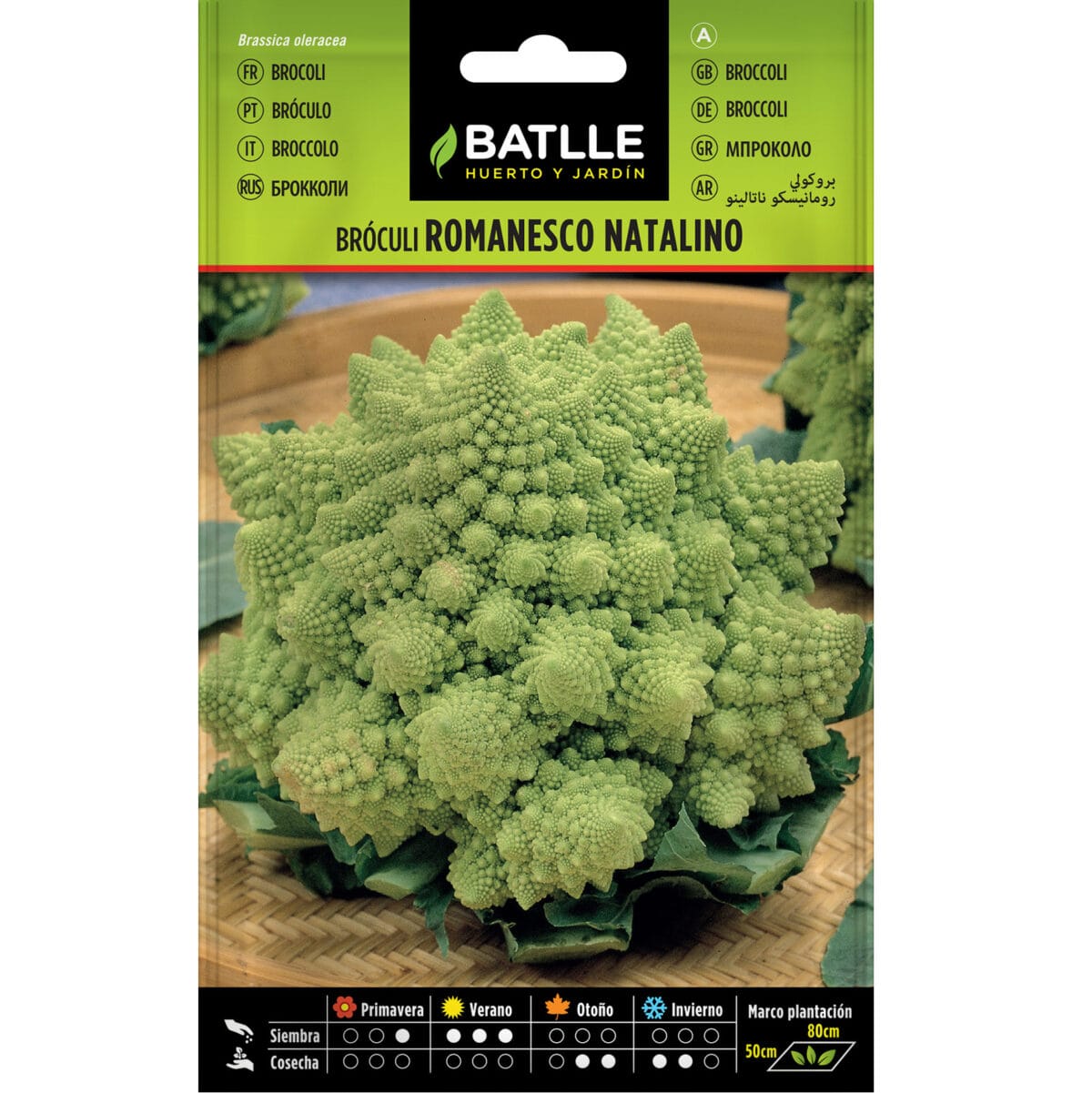 BROCULI ROMANESCO NATALINO - Imagen 1