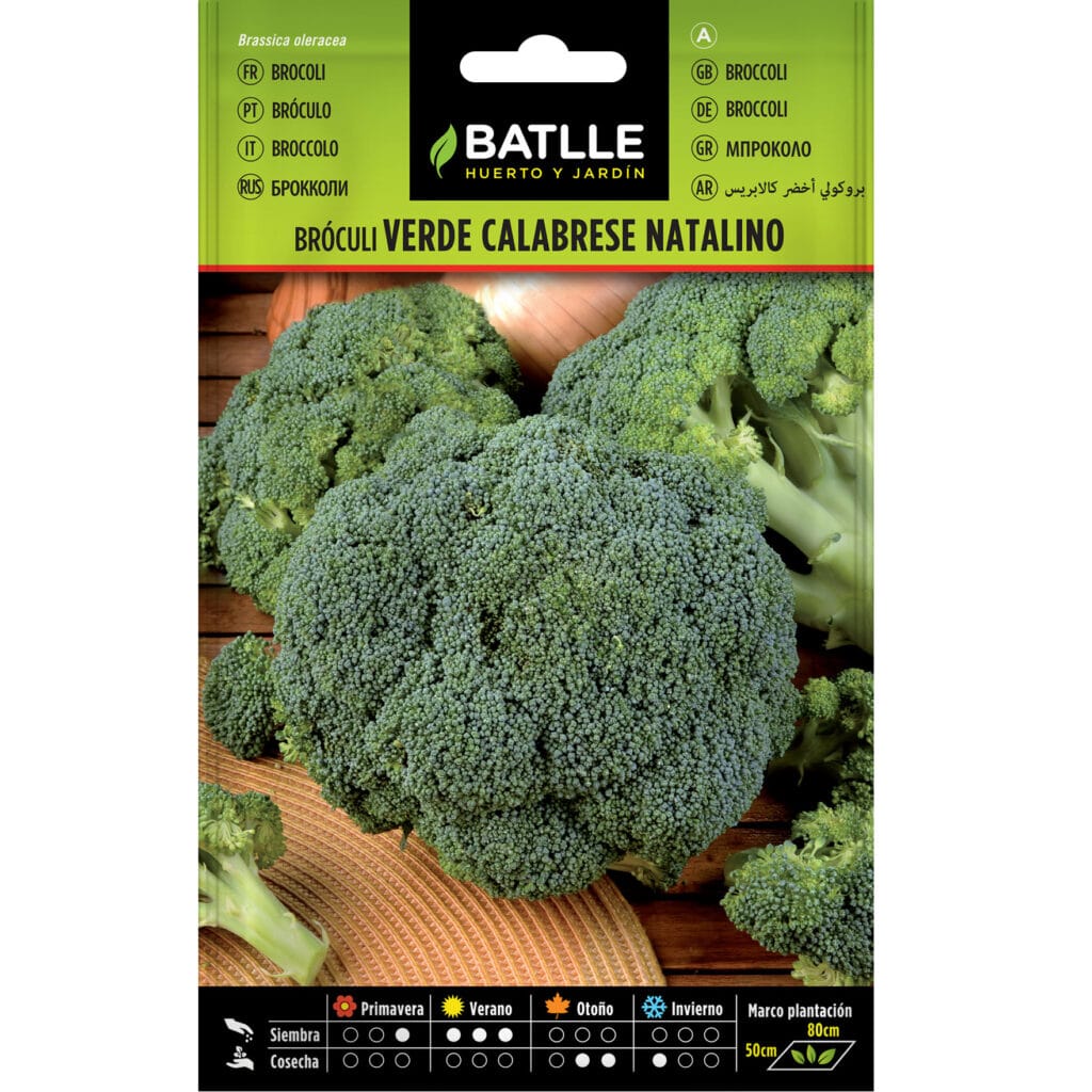 Broculi Verde Calabrese