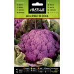 BROCULI VIOLET DE SICILE