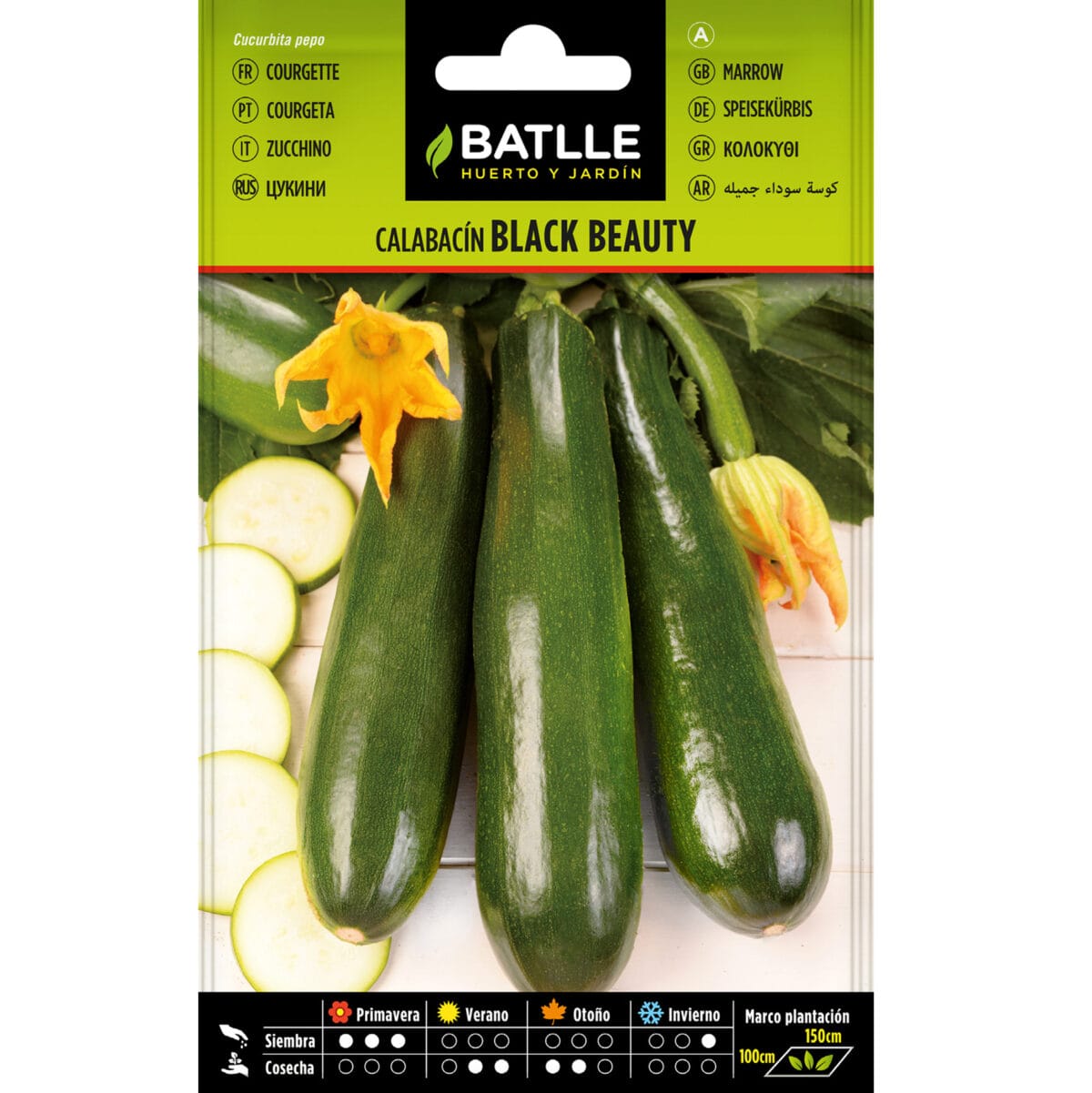 CALABACIN BLACK BEAUTY - Imagen 1
