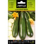 CALABACIN BLACK BEAUTY