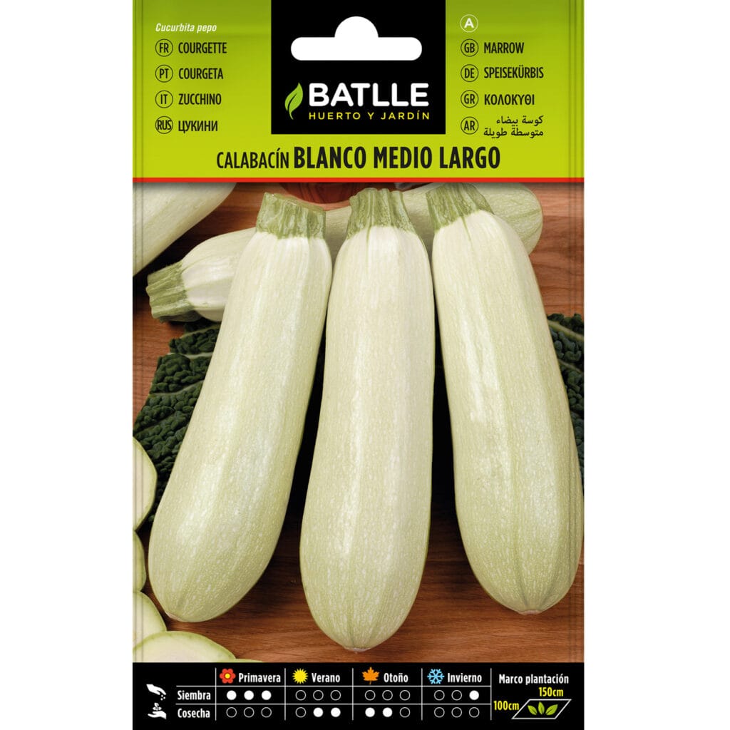 Calabacin Blanco Medio Largo