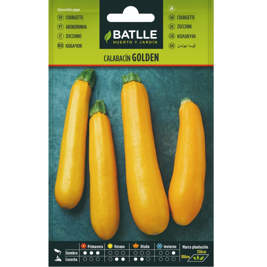 Calabacin Golden
