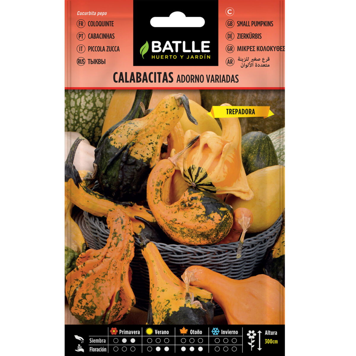 CALABACITAS ADORNO VARIADAS - Imagen 1