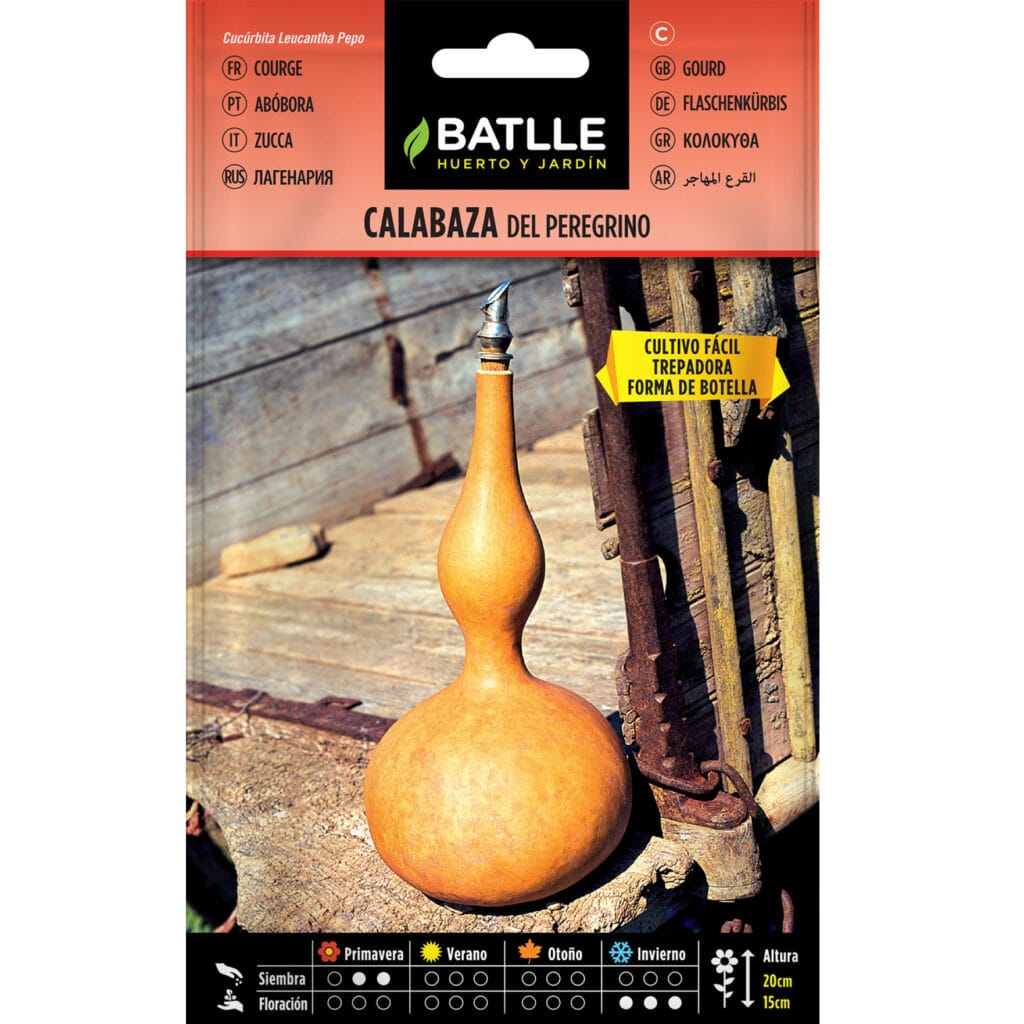 Calabaza Del Peregrino