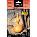 CALABAZA DEL PEREGRINO