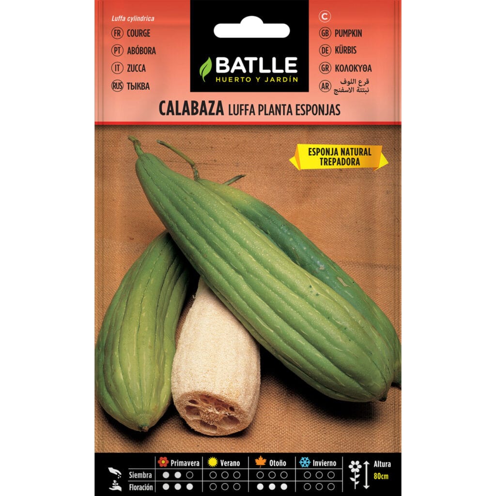 Calabaza Luffa Planta De Las Esponjas