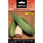 CALABAZA LUFFA PLANTAS ESPONJA