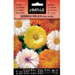 CALENDULA SEMI ALTA DOBLE VDA