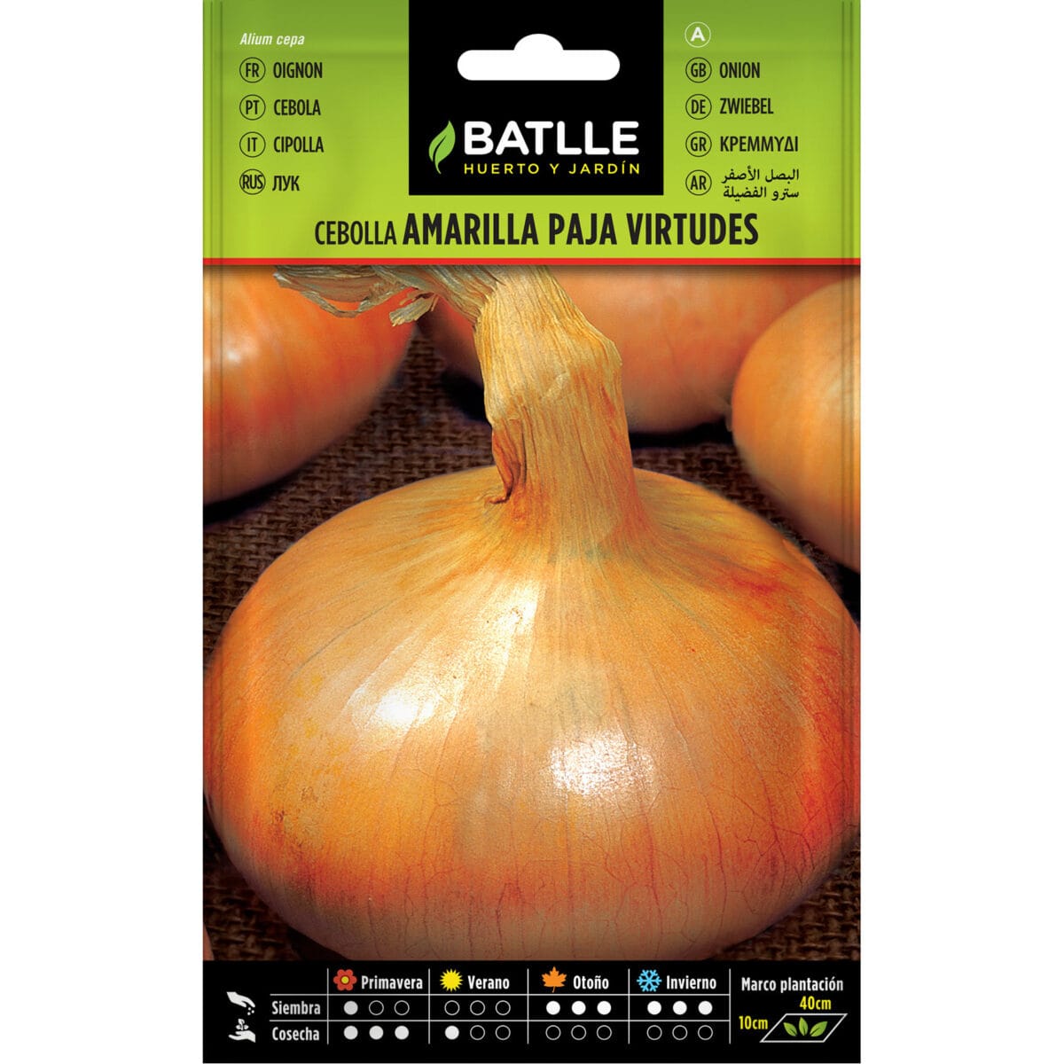 CEBOLLA AMARILLA PAJA VIRTUDES - Imagen 1