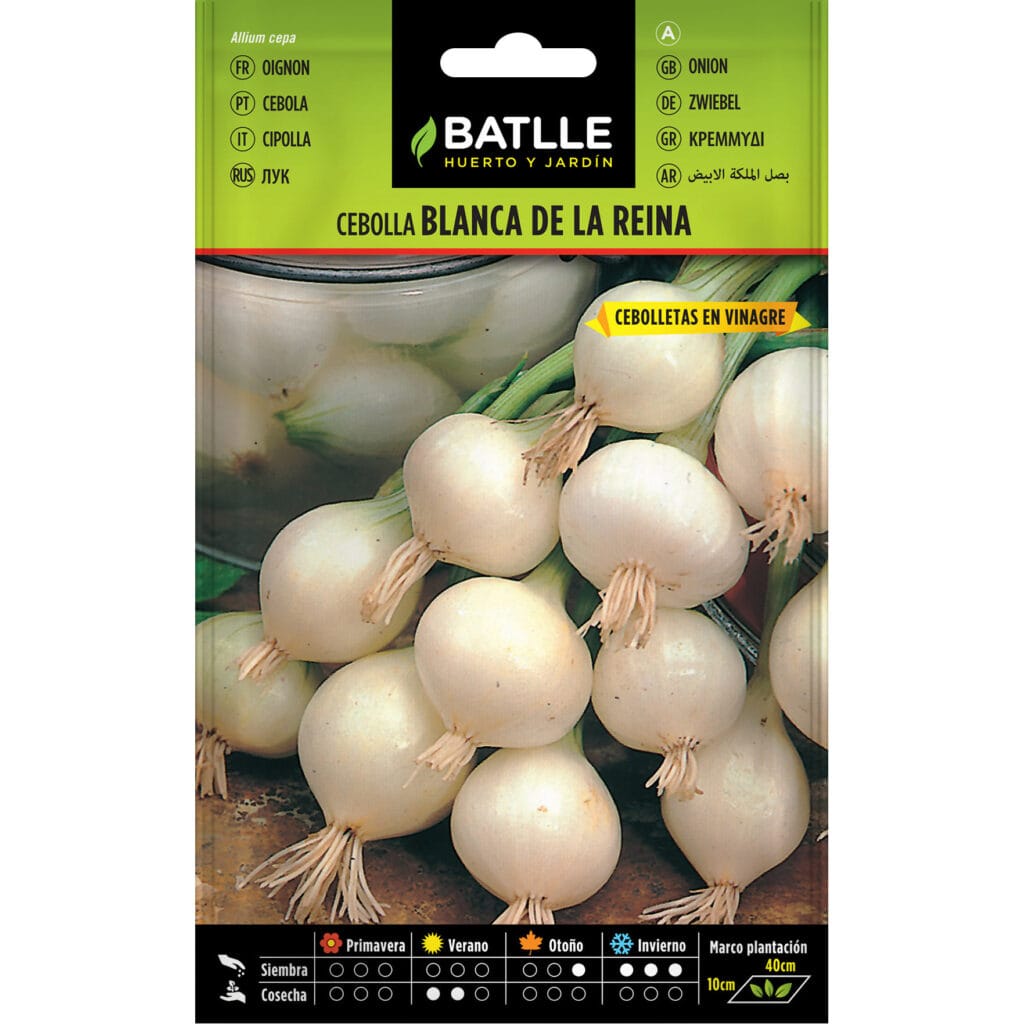 Cebolla Blanca De La Reina