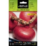 CEBOLLA ROJA DE ZALLA NIORT