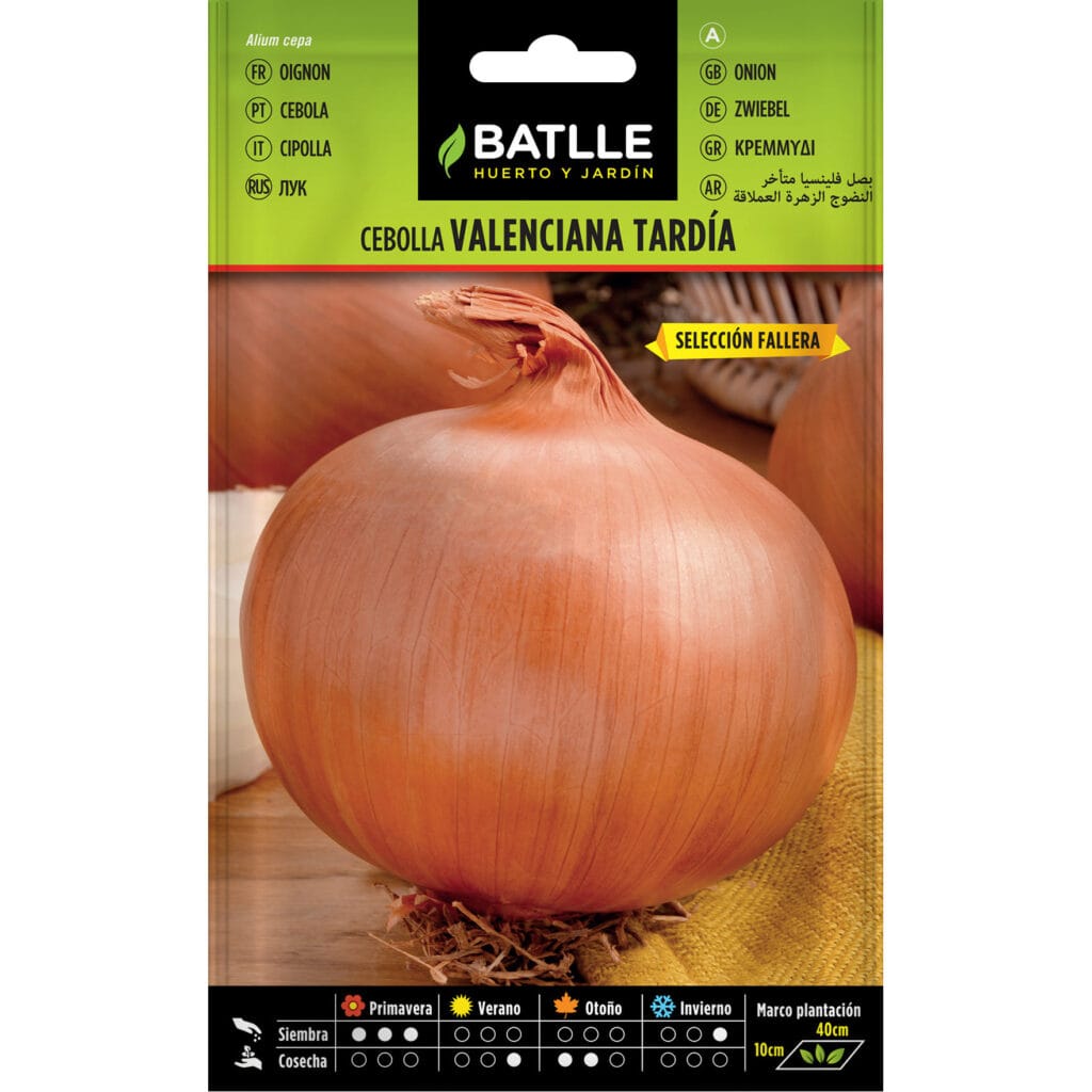 Cebolla Valenciana Tardia Sel. Fallera