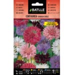 CENTAUREA VARIADA DOBLE