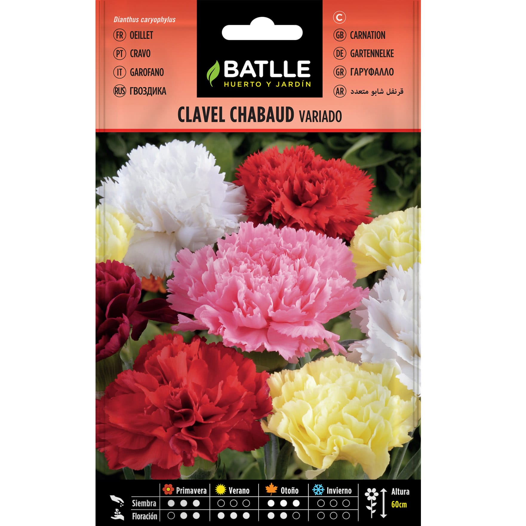 Clavel Chabaud Doble Estriado Variado CLAVEL CHABAUD VARIADO - Imagen 1