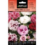 CLAVEL CHINA DOBLE VARIADO