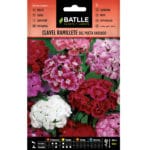 CLAVEL RAMILLETE DEL POETA VDA