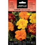 CLAVELON DE INDIA TAGETE ENANO