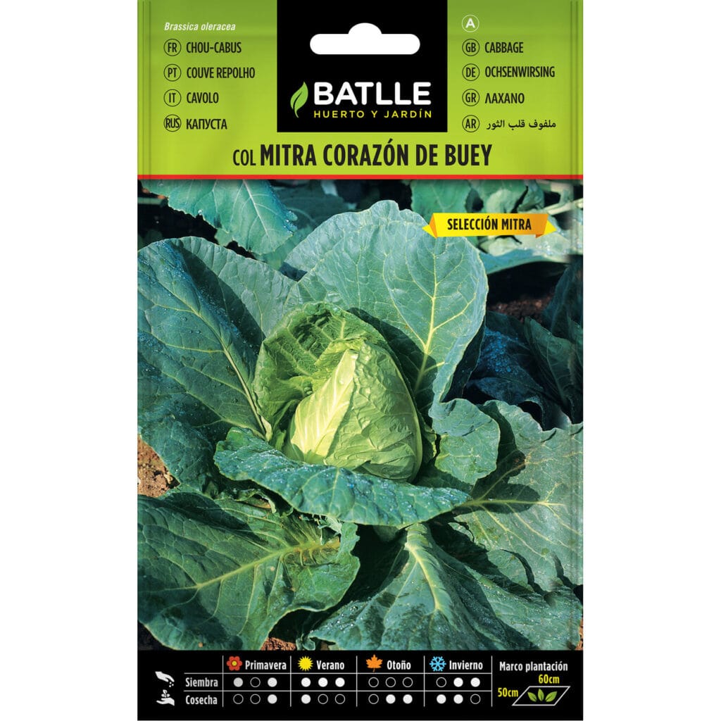 Col Corazon De Buey Sel. Mitra