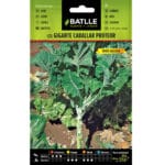 COL GIGANTE CABALLAR