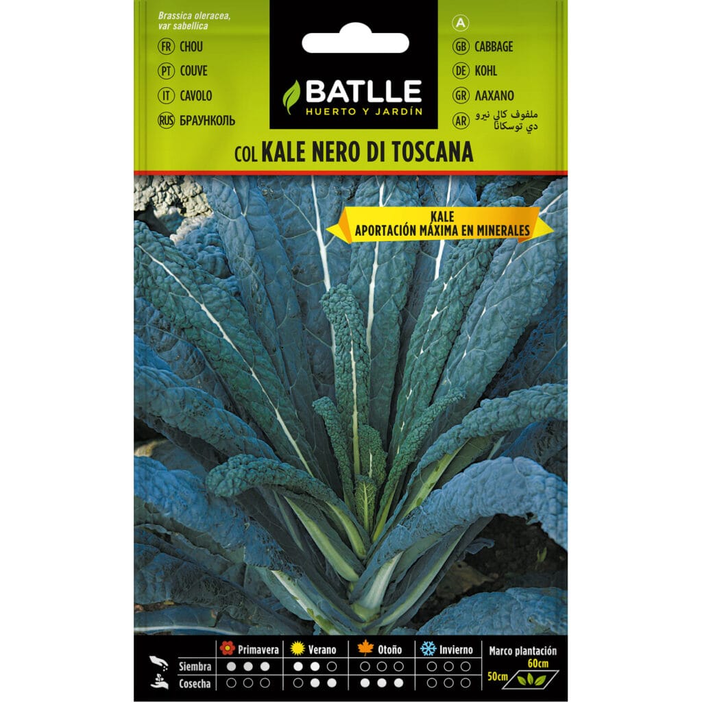 Col Kale Nero Di Toscana