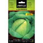 COL BRUNSWICK VALENCIANA