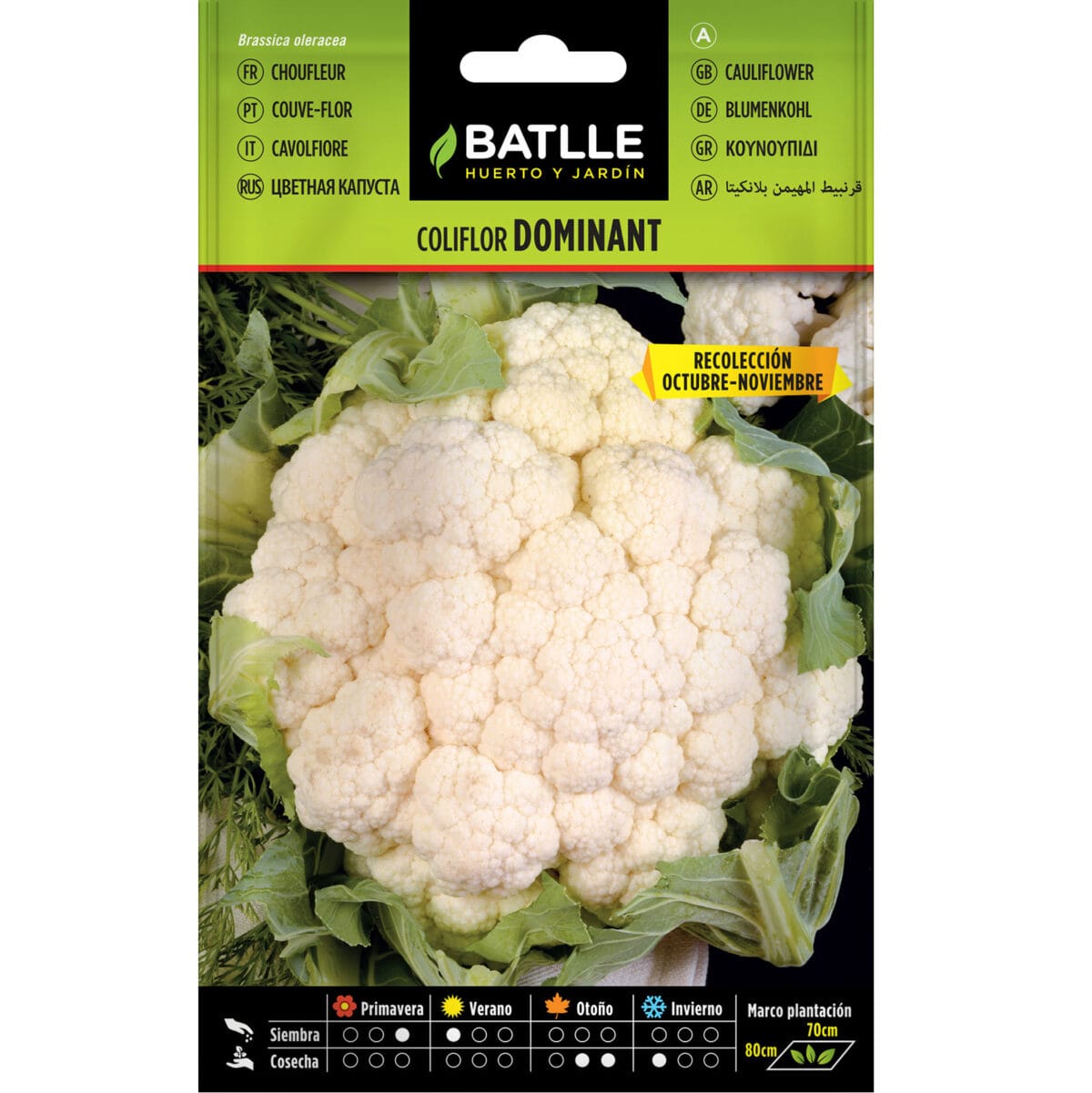 COLIFLOR DOMINANT BLANQUITA - Imagen 1