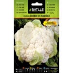 COLIFLOR GRANDE NAVIDAD