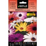 DIMORFOTECA TAPIZ VARIADO