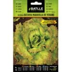LECHUGA MARAVILLA VERANO MARESME