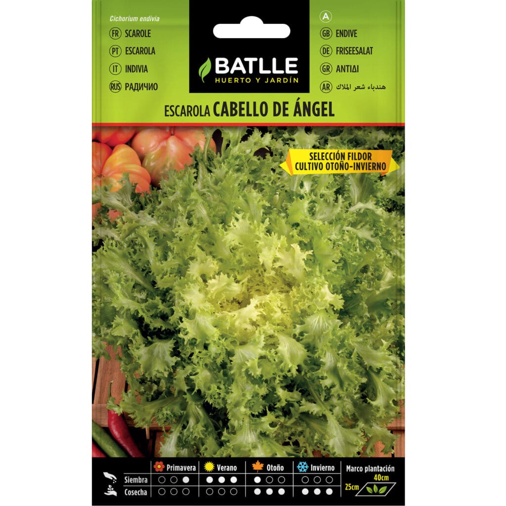 Escarola Cabello De Angel