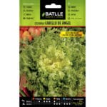 ESCAROLA CABELLO ANGEL FILDOR