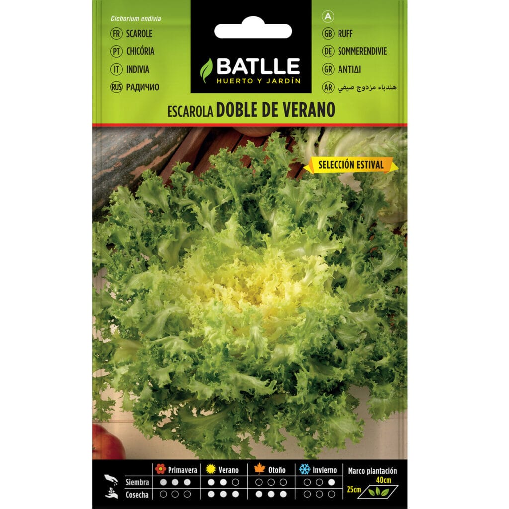 Escarola Doble De Verano Sel. Estival