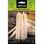 ESPARRAGO BLANCO ARGENTEUIL