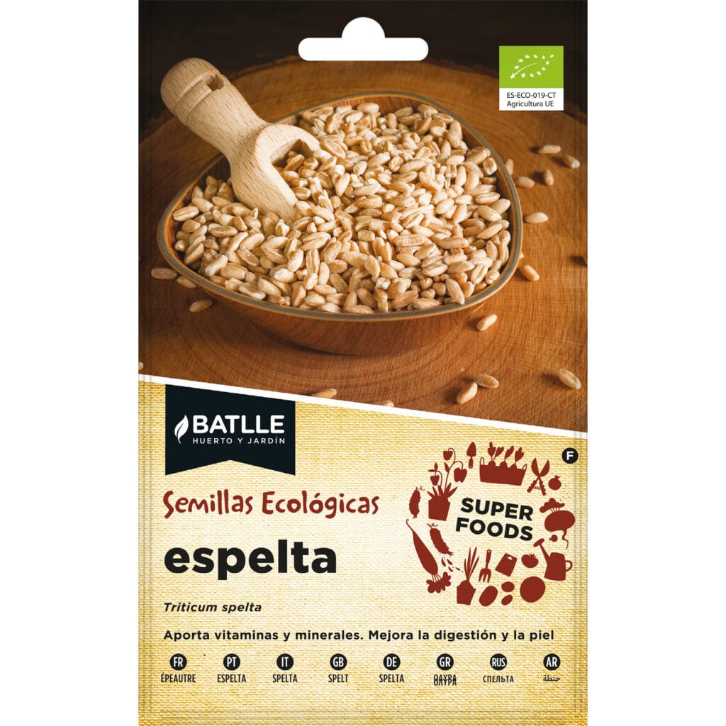 Espelta