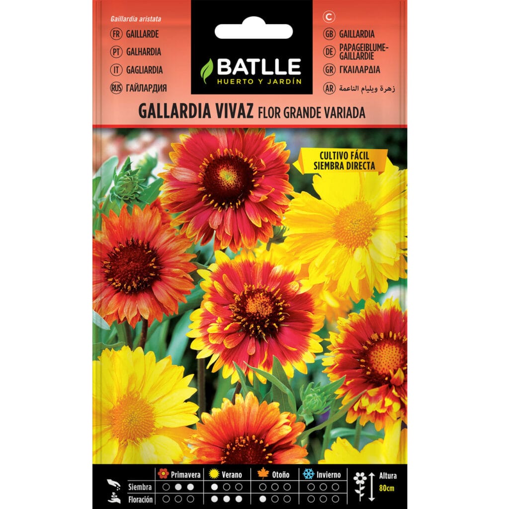 Gallardia Vivaz Flor Grande Variada