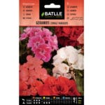 GERANIOS ZONALES VARIADOS