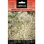 GIPSOFILA VIVAZ PANICULATA SIMPL