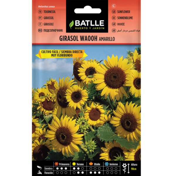 GIRASOL WAHOO AMARILLO