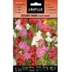 GUISANTE ENANO DE OLO VDO