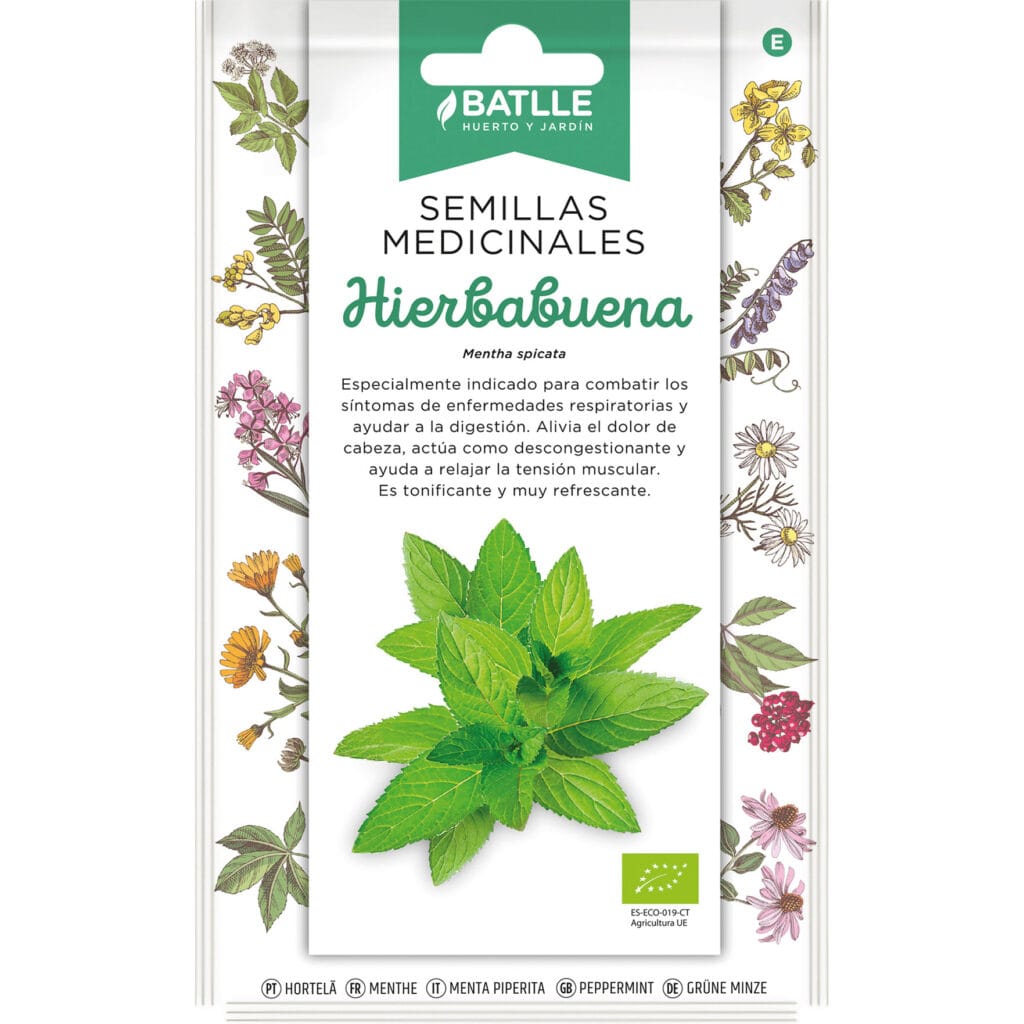 Hierbabuena