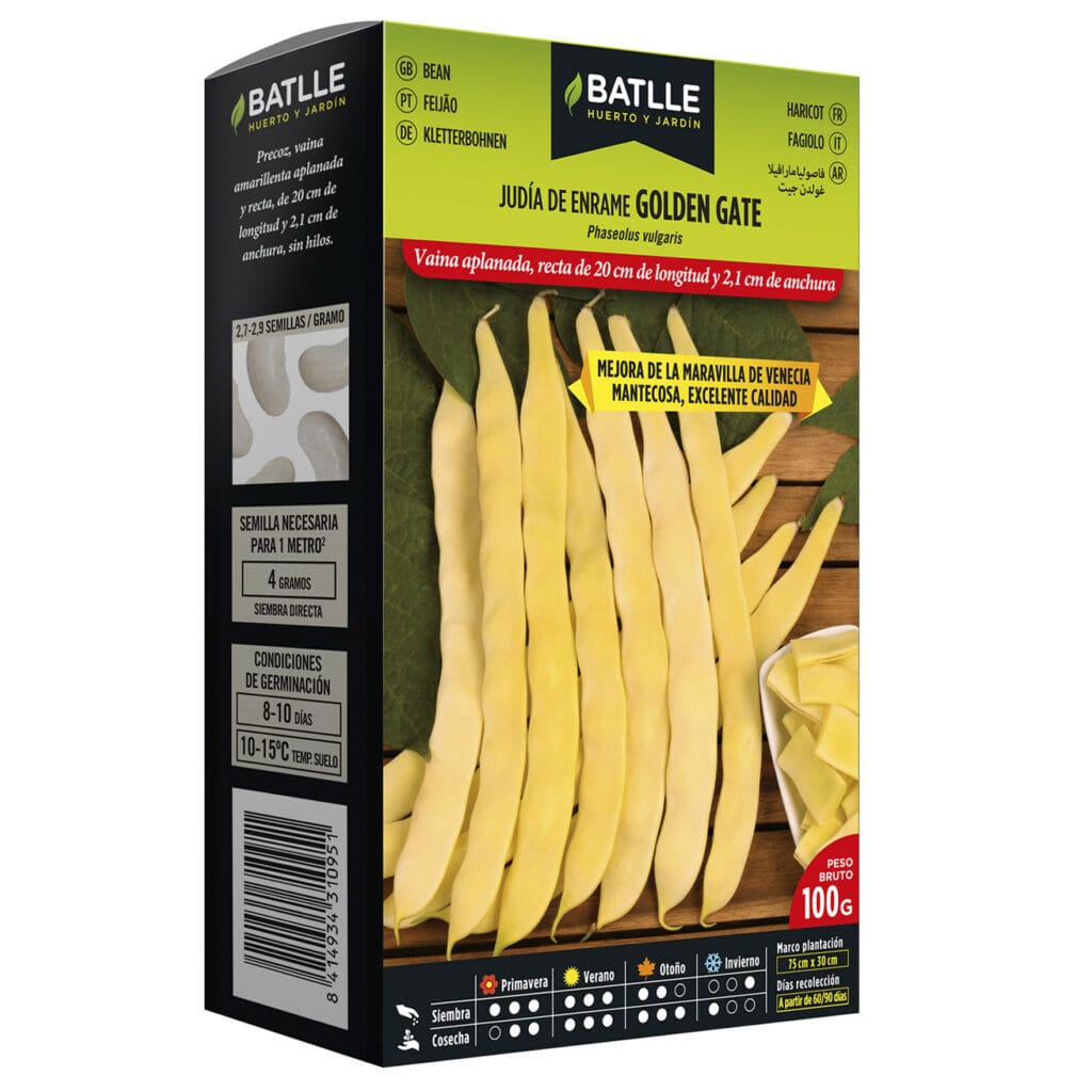 Judia De Enrame Golden Gate