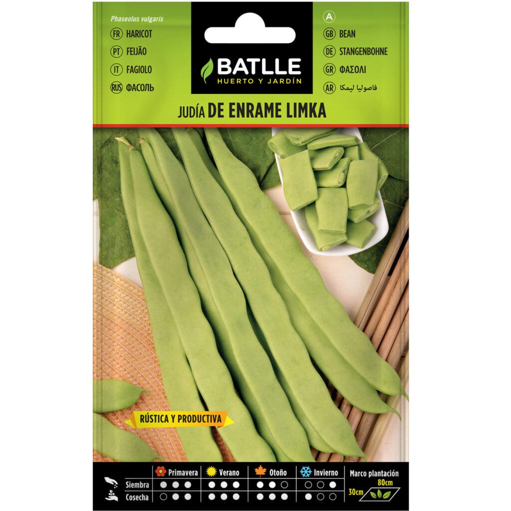 Judia De Enrame Limka