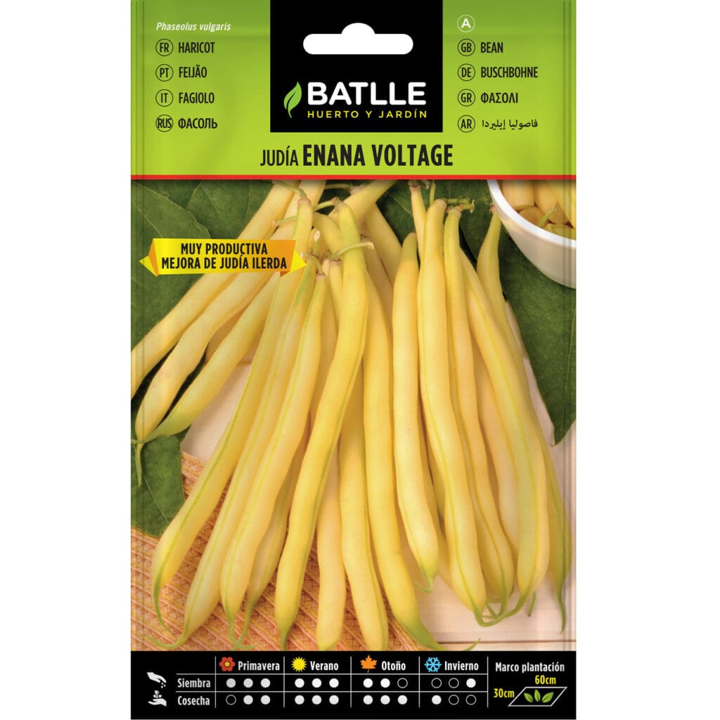 Judia Enana Voltage