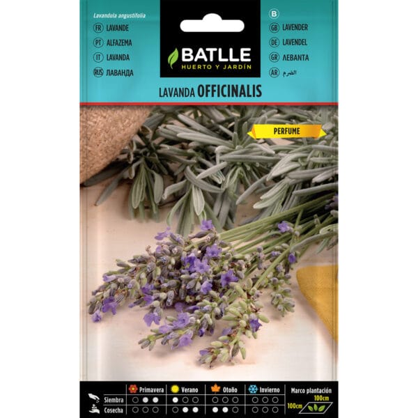 LAVANDA OFFICINALIS