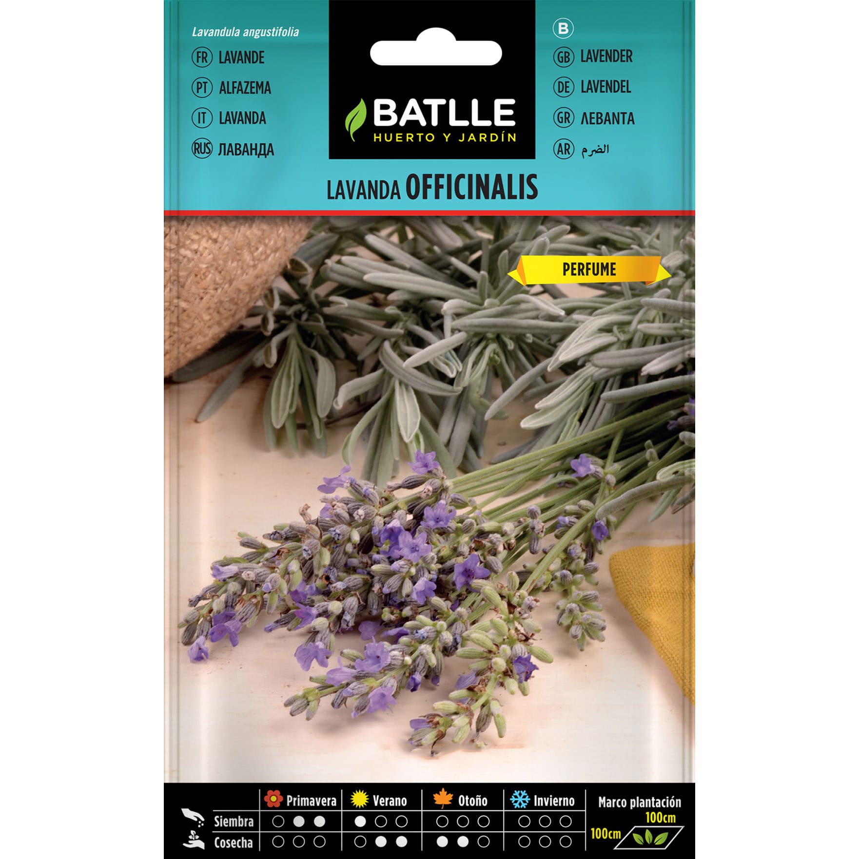 Lavanda Officinalis LAVANDA OFFICINALIS - Imagen 1