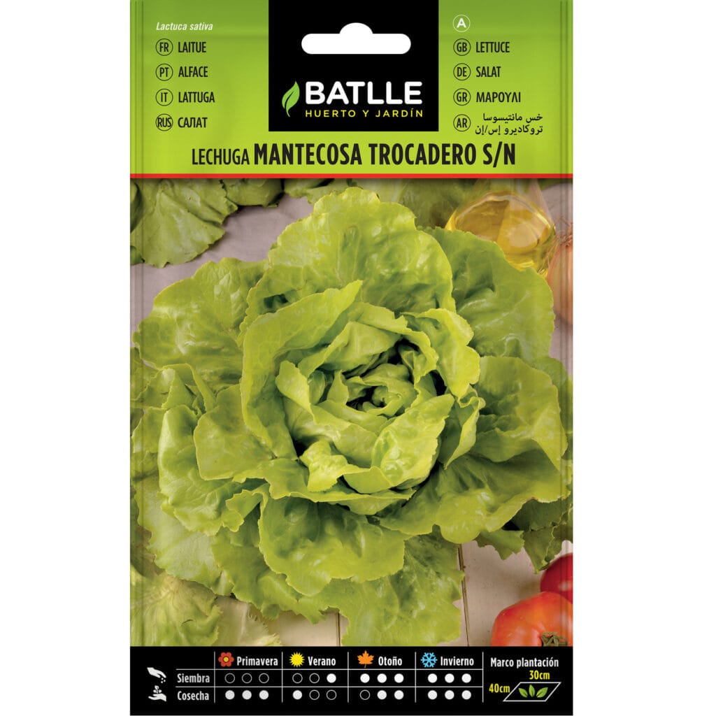 Lechuga Mantecosa Trocadero