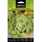 LECHUGA REINA MAYO PRINCESA