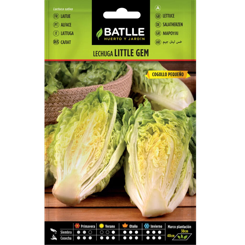 Lechuga Romana Little Gem Cogollo Pequeno